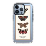 Butterfly Taxidermy Case