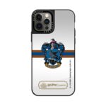Ravenclaw Mascot Case