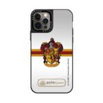 Gryffindor Mascot Case