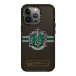 Slytherin Mascot Case
