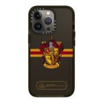 Gryffindor Mascot Case
