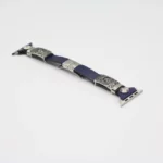 Apple Watch Retro Straps