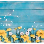 Hard Shell Printed MacBook Cases