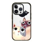 The Flying Kitten Case