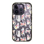 Rainbow Cats Case