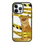 Crime By Carwheezie Case