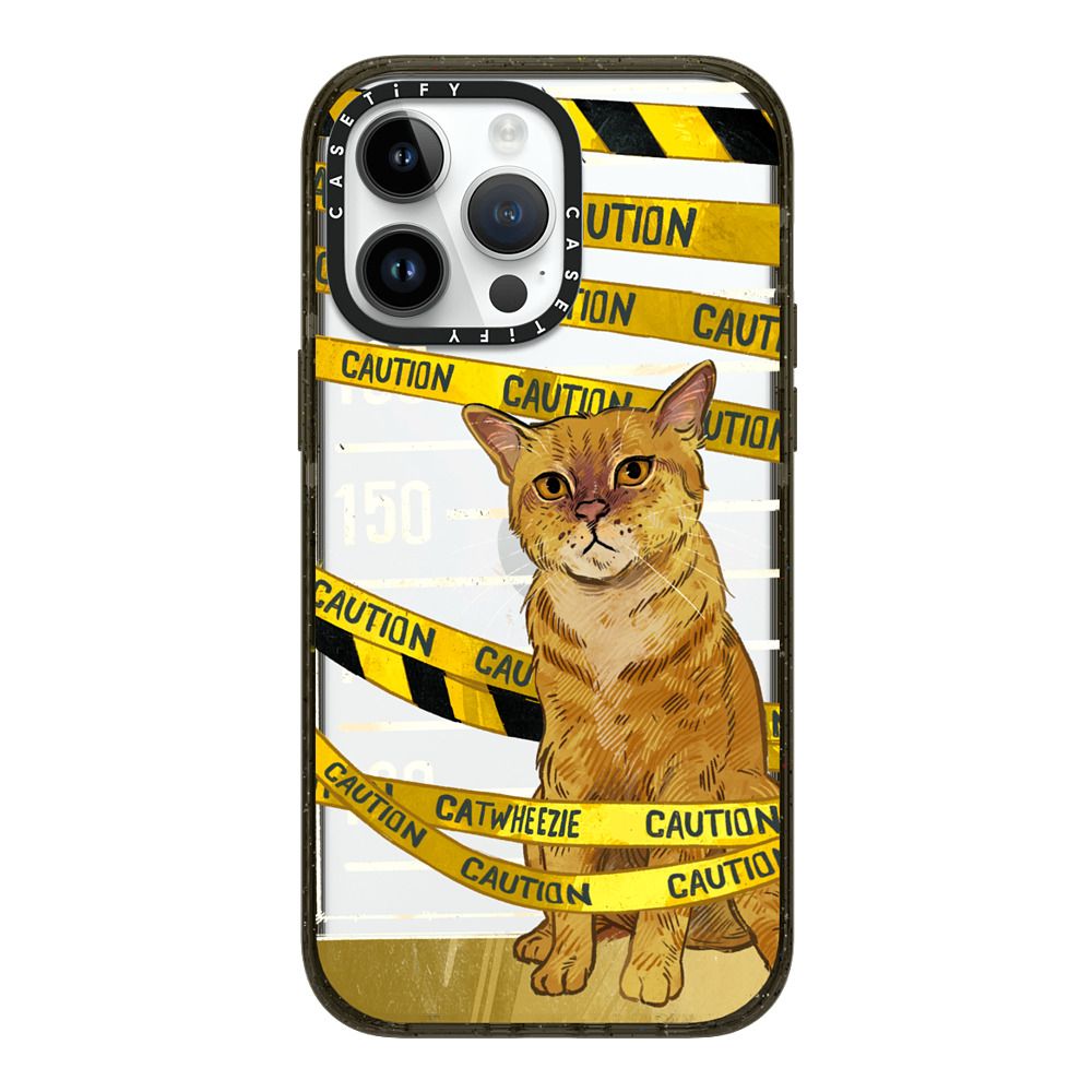 Crime By Carwheezie Case