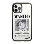 WANTED - Luffy Case