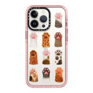 The Cat's Paws Case