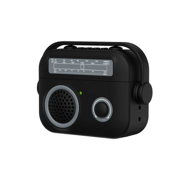 3D Radio AirPods Case