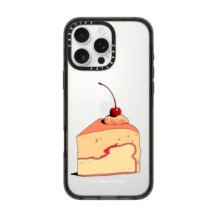 Cake Slice Case