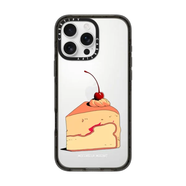 Cake Slice Case