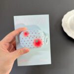 Little Tomato AirPods Case