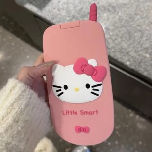 Hello Kitty Foldable Case
