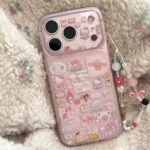 Hello Kitty & Friends Sticker Case
