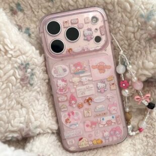 Hello Kitty & Friends Sticker Case